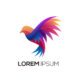 bird colorful logo gradient vector