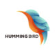 humming bird gradient design colorful illustration style